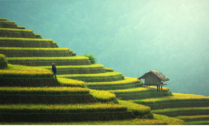 anyror rural land record